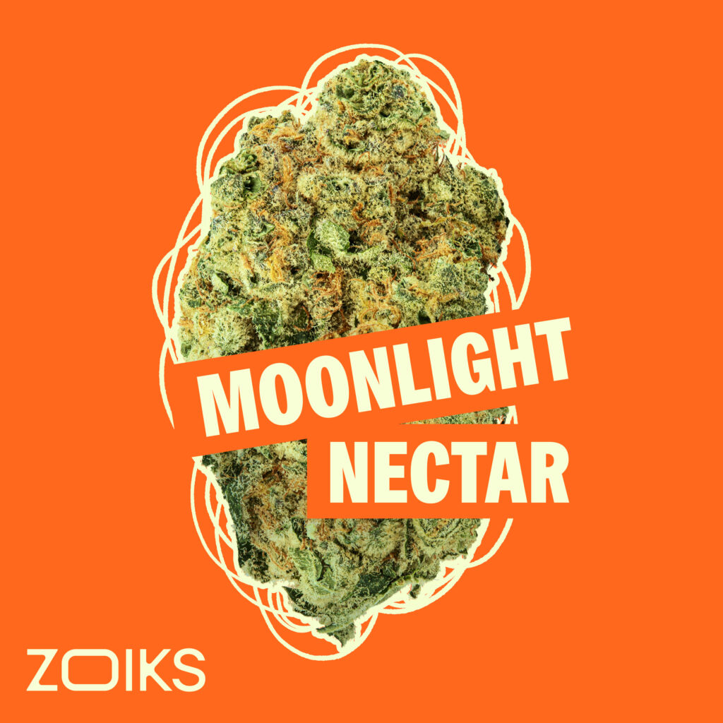 Detailaufnahme einer Blüte des Medizinalcannabis Moonlight Nektar von ZOIKS
